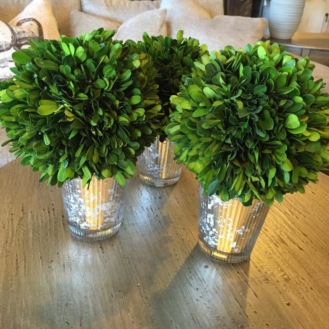 Green Boxwood in Mercury Glass Vase, Home Accessories, Laura of Pembroke