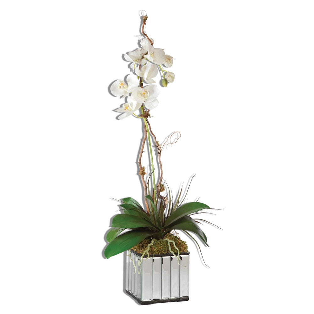 Kaleama Orchids White, Home Accessories, Laura of Pembroke