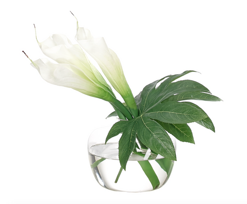 Lily