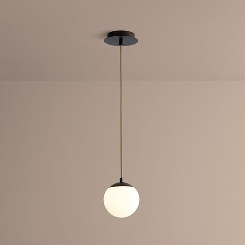 Luna 6