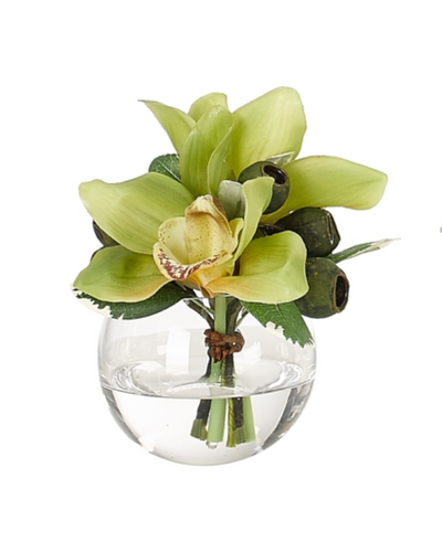 Orchid 