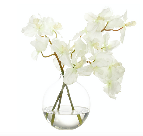 Orchid