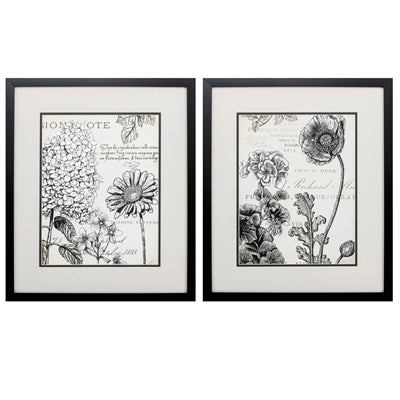 PEN INK FLORAL STUDY 