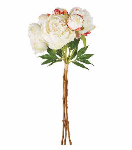 PEONIES 21