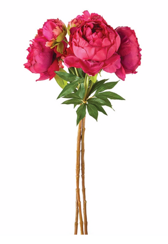 PEONIES 21