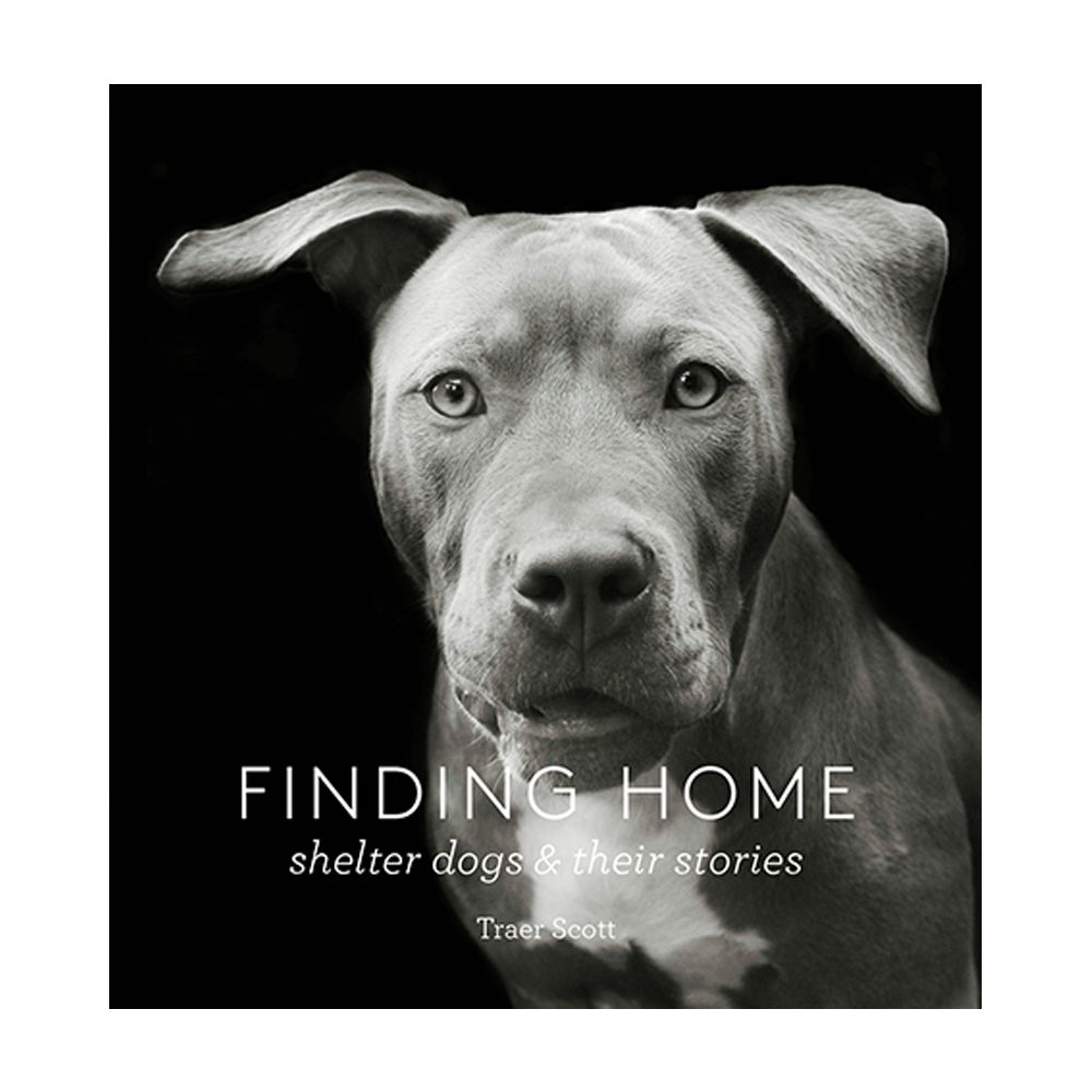 FINDING HOME BOOK