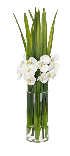ORCHID