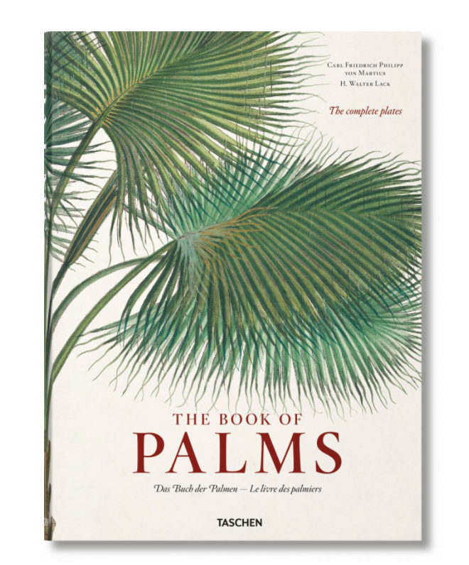 VON MARTIUSBOOK OF PALMS