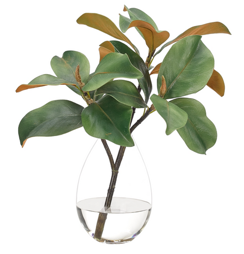 MAGNOLIA FOLIAGE
