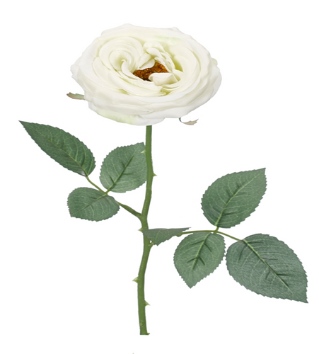 ROSE STEM