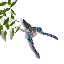 CHINOSERIE SECATEURS
