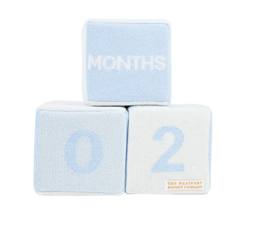 Blaylock Blue Blocks