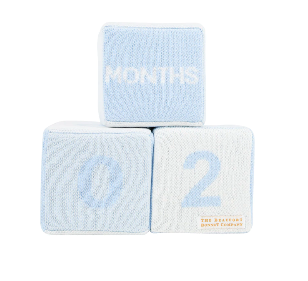 Blaylock Blue Blocks