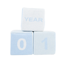 Blaylock Blue Blocks