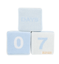 Blaylock Blue Blocks