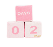 Blaylock Pink Blocks