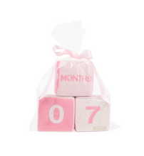 Blaylock Pink Blocks