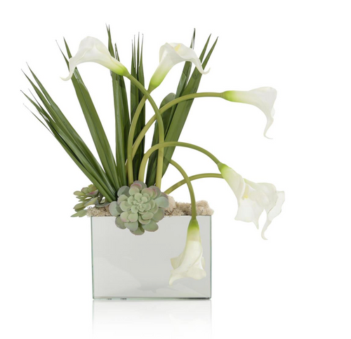 LILY REFLECTION