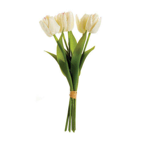DUTCH TULIP BUNDLE