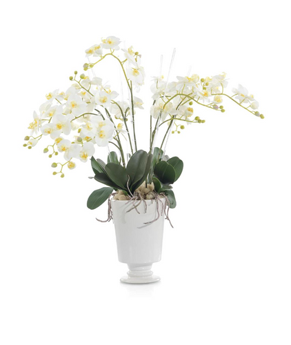 ORCHID ROMANCE