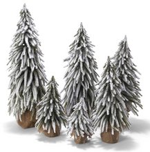 SNOW COVERED TREE SM