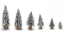 SNOW COVERED TREE SM