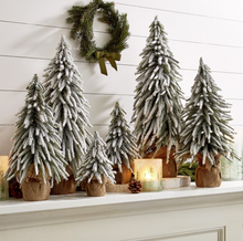 SNOW COVERED TREE SM