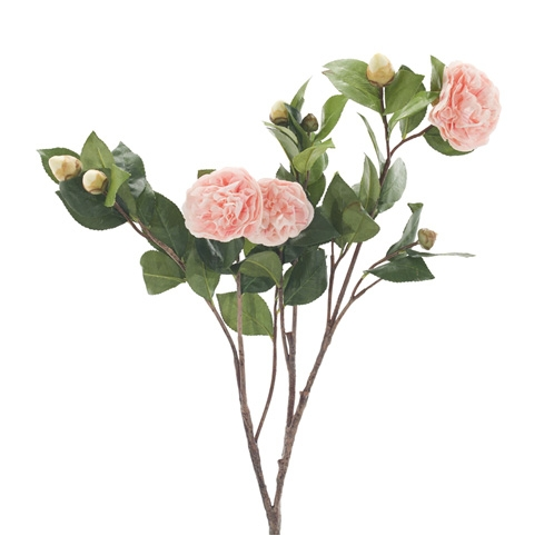 Camellia, Light Pink, Home Accessories, Laura of Pembroke