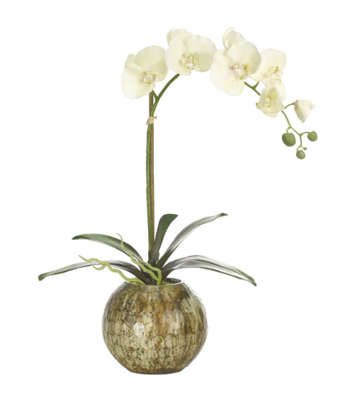Orchid, Home Accessories, Laura of Pembroke