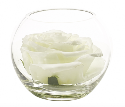Rose in Glass, Home Accessories, Laura of Pembroke