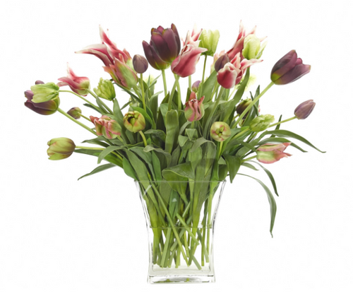Tulip, Home Accessories, Laura of Pembroke