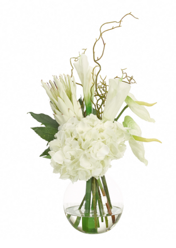Protea, Calla Lily, Antherium & Hydrangea, Home Accessories, Laura of Pembroke