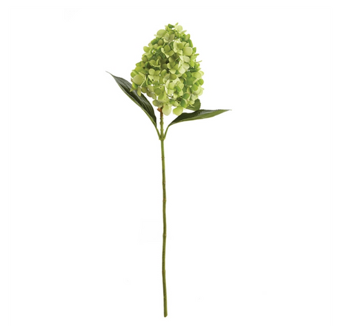 Green Cone Hydrangea Stem, Home Accessories, Laura of Pembroke