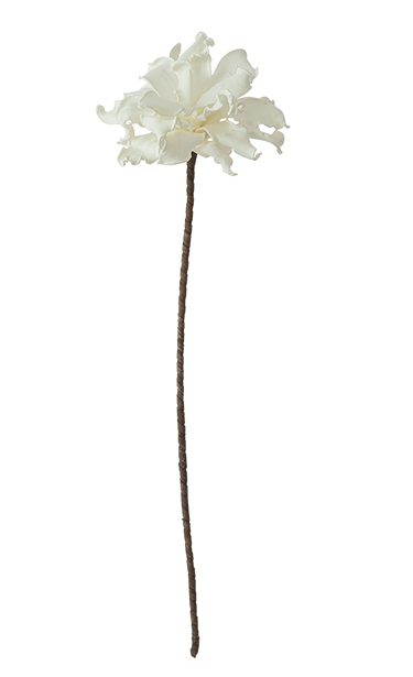 White Long Stem Flower, Home Accessories, Laura of Pembroke