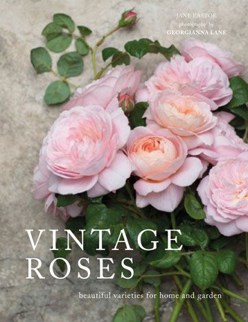Vintage Roses Book, Gifts, Laura of Pembroke