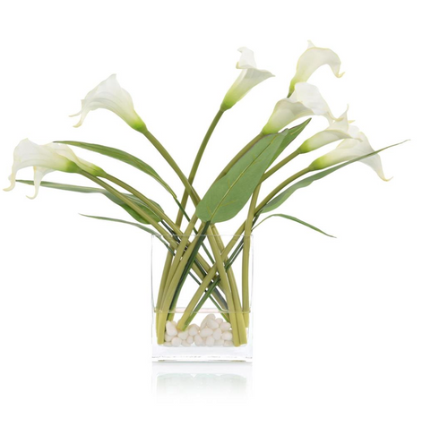 WINDBLOWN CALLAS