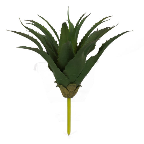 Stem