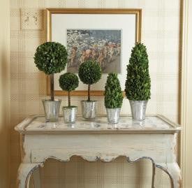 Topiary, Home Accessories, Laura of Pembroke