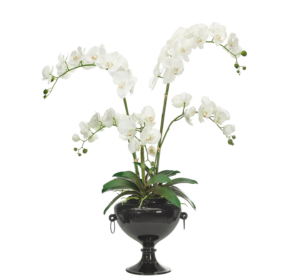 Orchid, Home Accessories, Laura of Pembroke