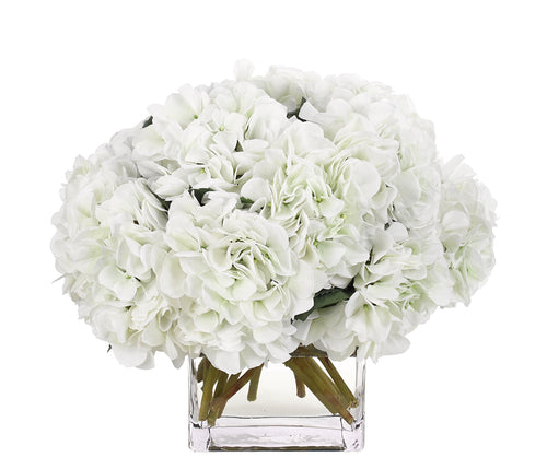 WHITE HYDRANGEA