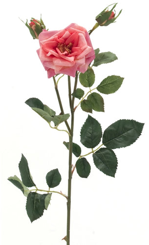 Rose Stem, Home Accessories, Laura of Pembroke