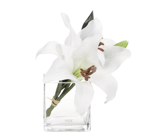 LILY CASABLANCA
