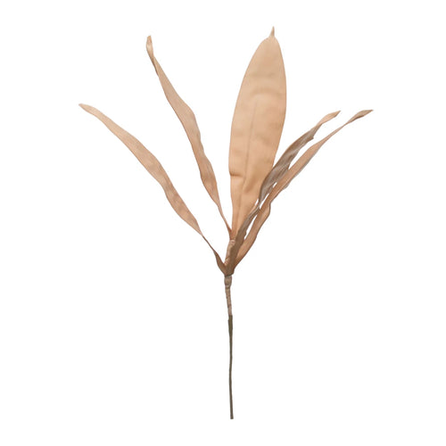 BLUSH REED LEAF STEM