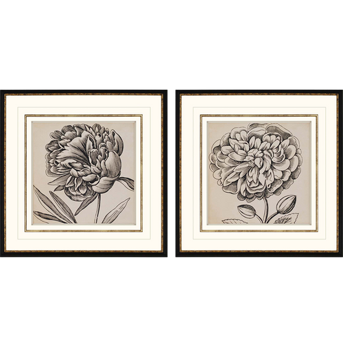 Graphic Floral Art, Home Accessories, Laura of Pembroke