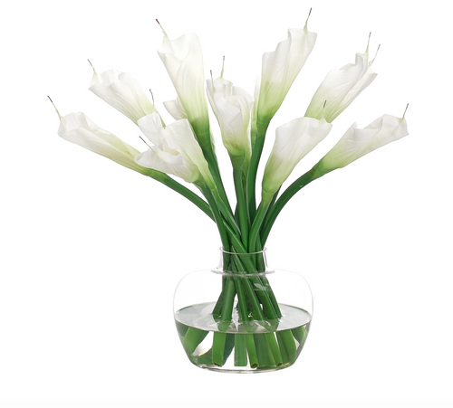 Calla Lily