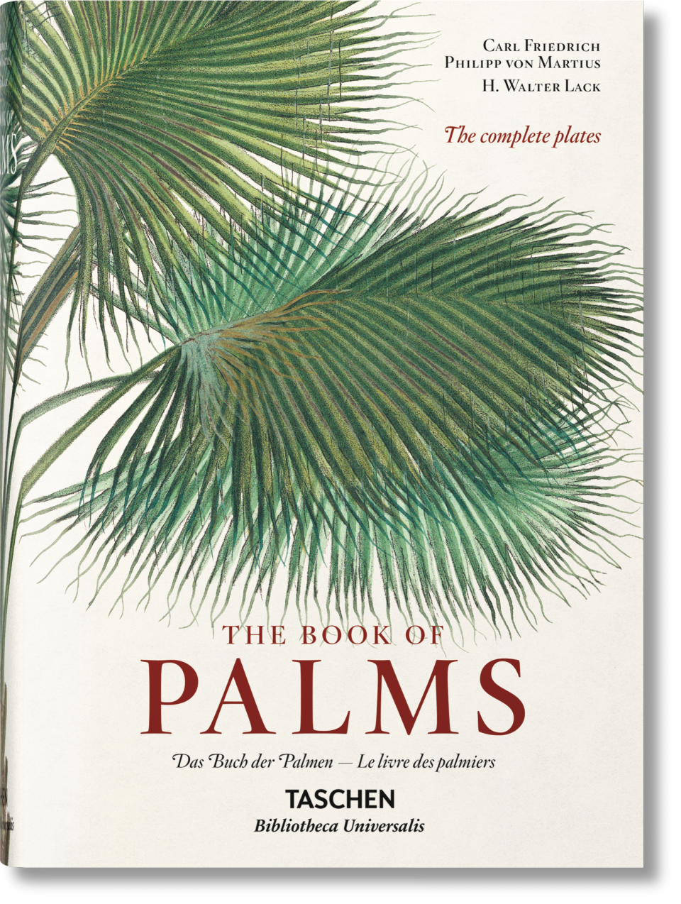 MARTIUS THE BOOK OF PALMS
