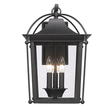 Brigham Outdoor Large Wall Sconce in Natural Black