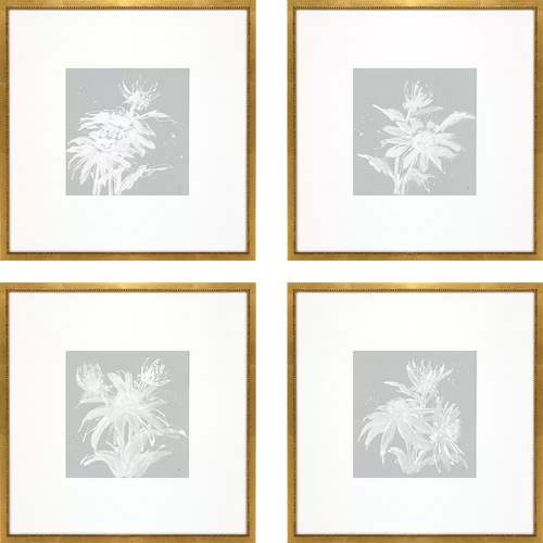 ECHINACEA PRINT