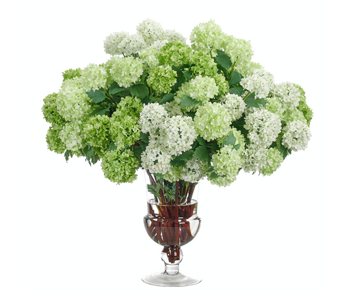 Green and White Snowball